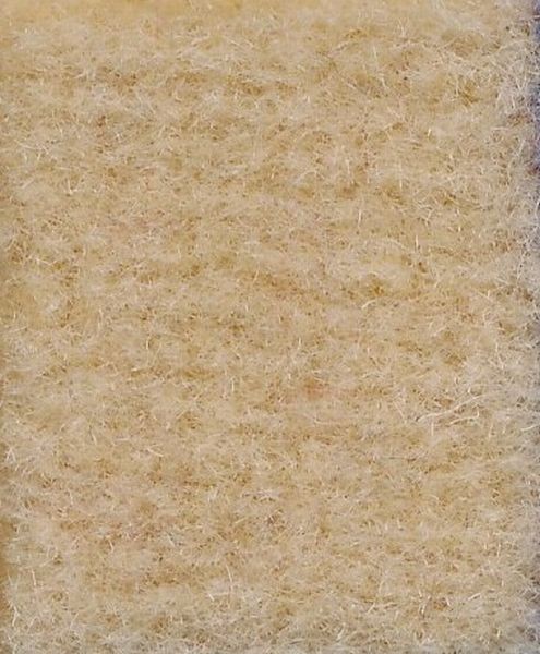 Wilton Wool Beige Carpet - All