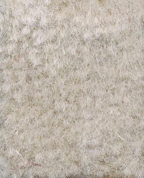 Wilton Wool Beige Carpet - All