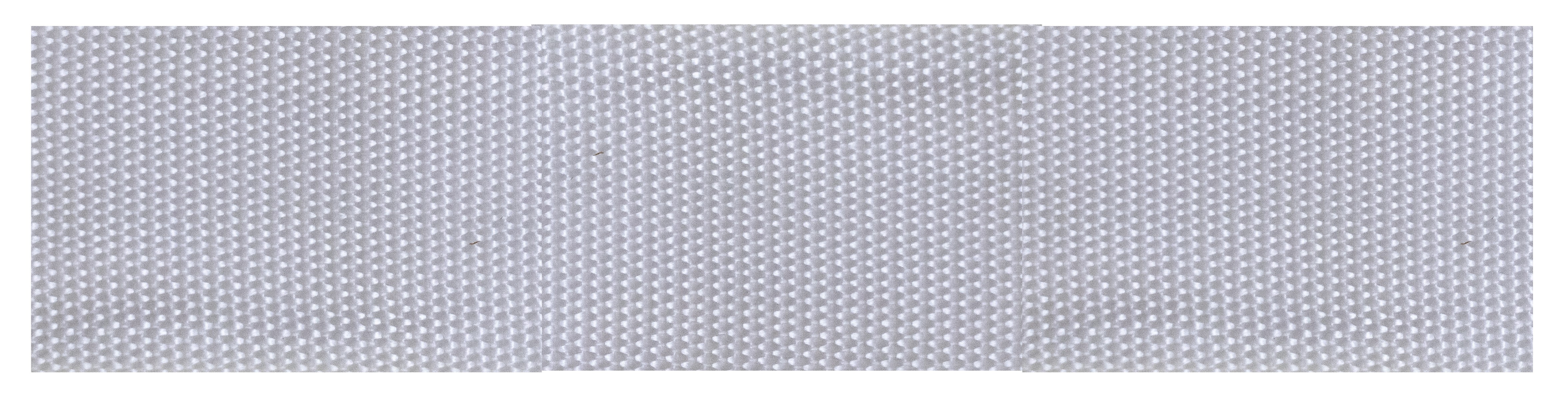 Polypro Webbing 2in White LW 100YD/RL - Webbing
