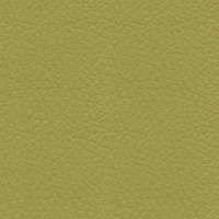 Allure Autumn Glade Naugahy - All