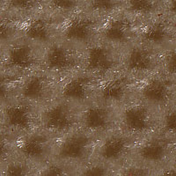 Interlude Champagne - OEM Cloth