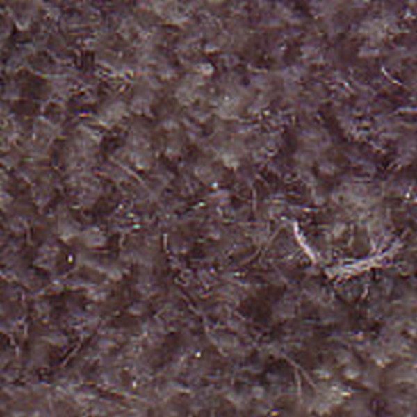 Vegas Sage  120222 - OEM Cloth