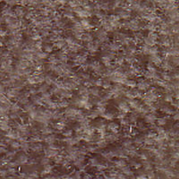 Vegas Blonde  120221 - OEM Cloth