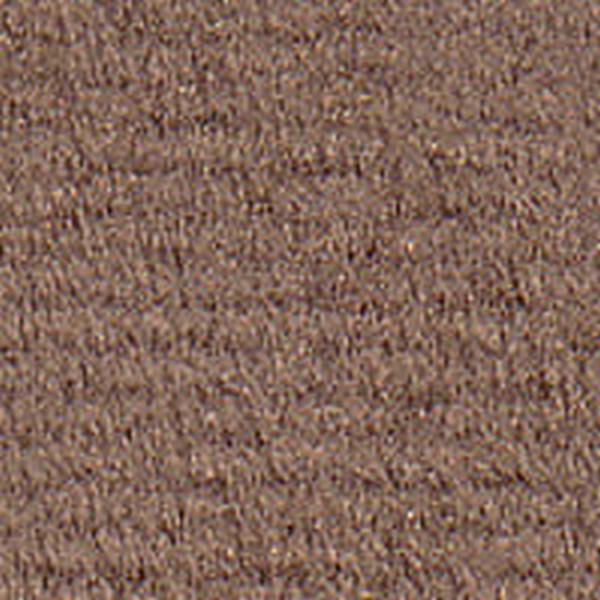 Essex Md Camel  E0015 - OEM Cloth