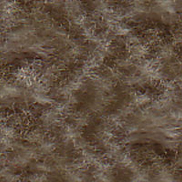 Cortland Md Parchment  E0630 - OEM Cloth