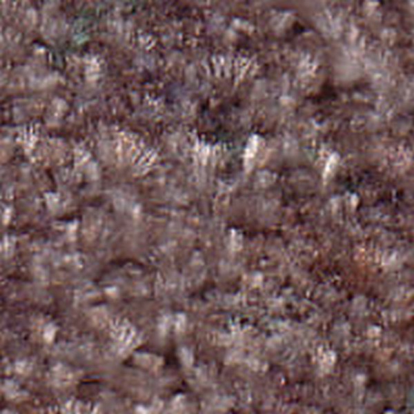 Geneva Md Neutral  D8212 - OEM Cloth
