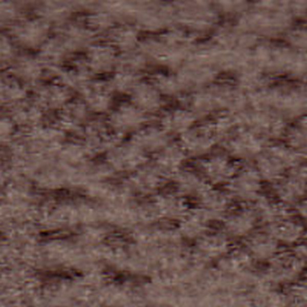 Dragonfly Md Biscuit  E00521 - OEM Cloth