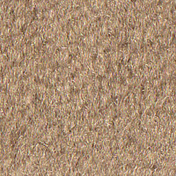 Cloth Champagne Paragon 1 - OEM Cloth