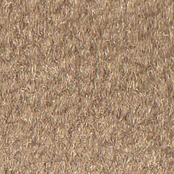Cloth Champagne Paragon 2 - OEM Cloth