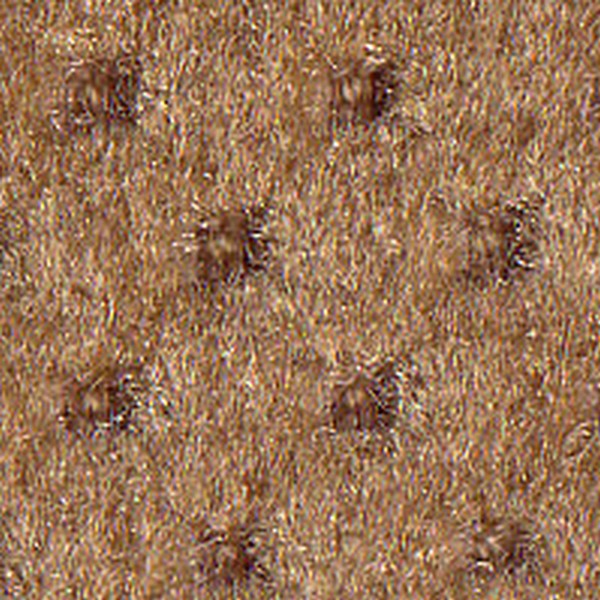 Cloth Tan Jordan (str) C9921 - OEM Cloth