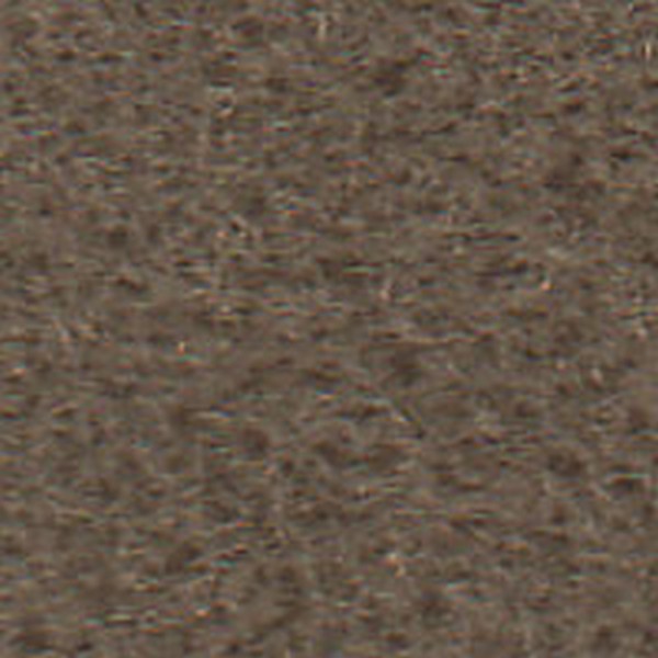 Hannah Oak  D110597 - OEM Cloth