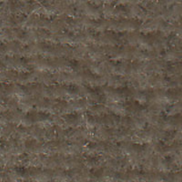 Array Neutral Bone  110576 - OEM Cloth
