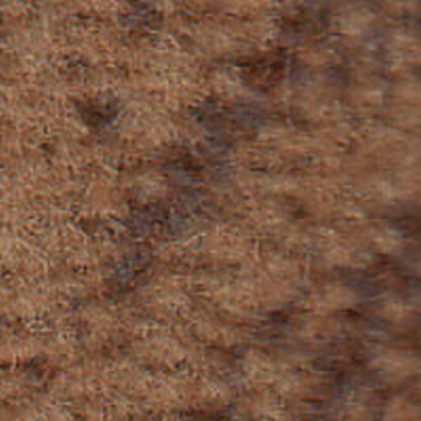 Ranier Md Tan - OEM Cloth