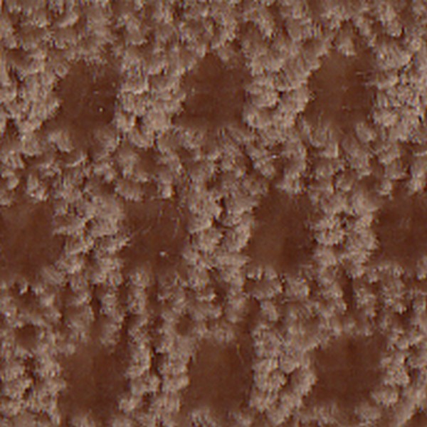 Cloth Champagne Summit D1921 - OEM Cloth