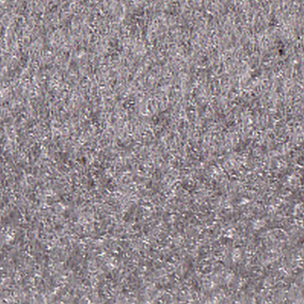 Cloth Grey LT Lori D2131 - OEM Cloth