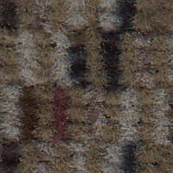Colony Md Neutral  D9116 - OEM Cloth