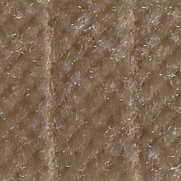 Cloth Champagne Panama D198 - OEM Cloth
