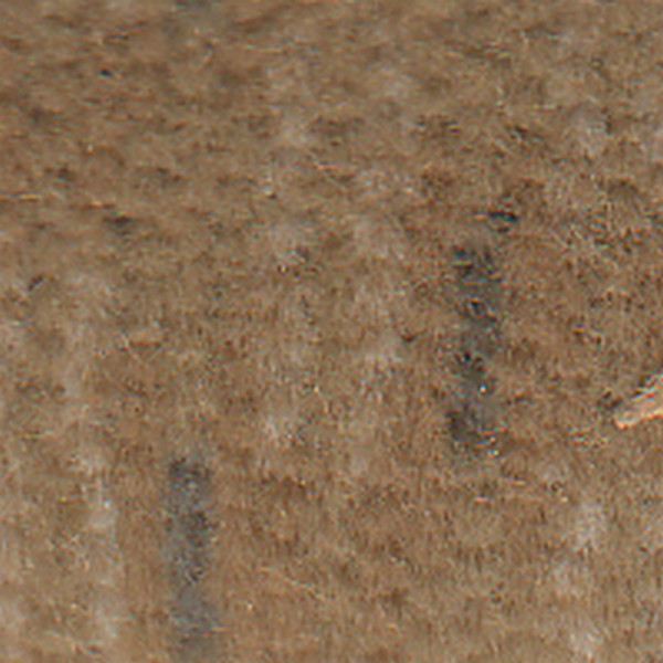 Vision {bottom} New Ivory - OEM Cloth