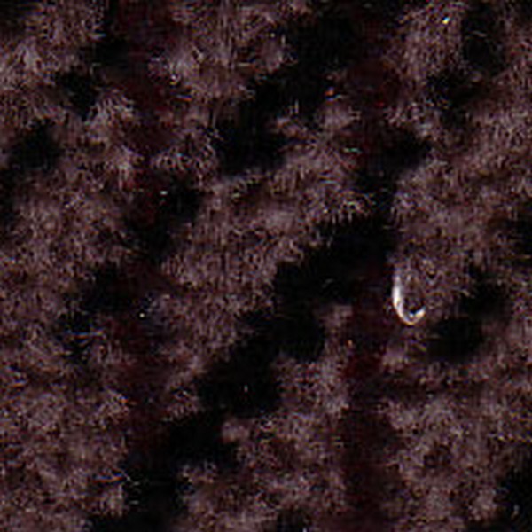 Cloth Drive Side Pulsar D50128 - OEM Cloth