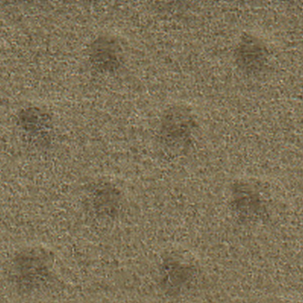 Ann Marie Ivory  130609  Vt - OEM Cloth