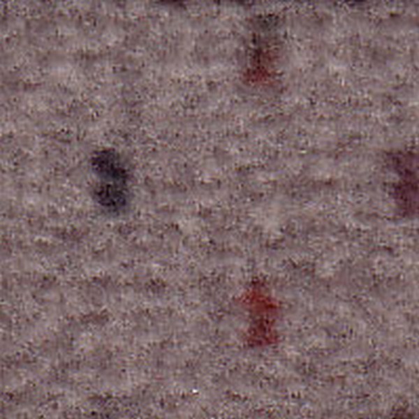 Cloth Neutral Caveat D5135 - OEM Cloth