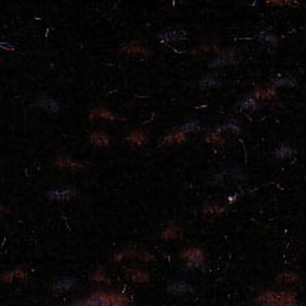 Cloth Ebony Random D5053 - OEM Cloth