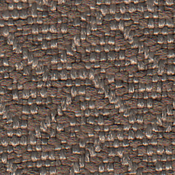 Pompano Md Cashmere   E546 - OEM Cloth