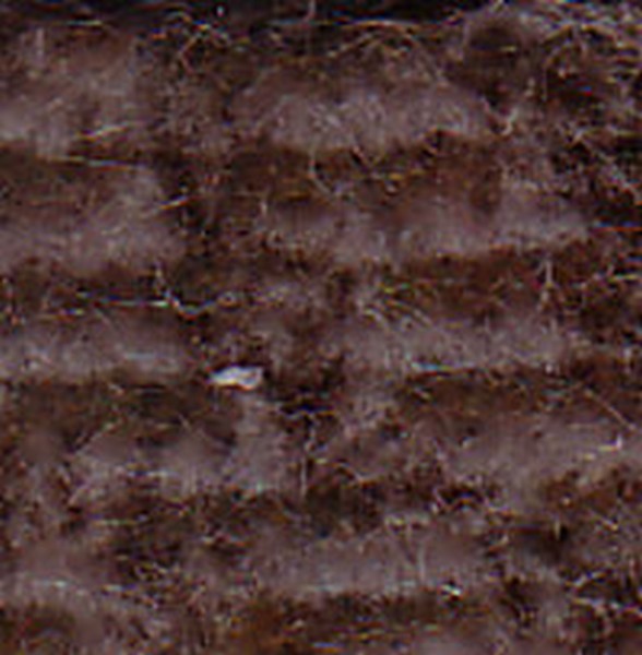 G179x Beige    160141 - OEM Cloth