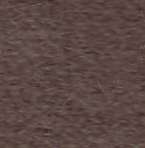 Sorel Beige    160124 - OEM Cloth