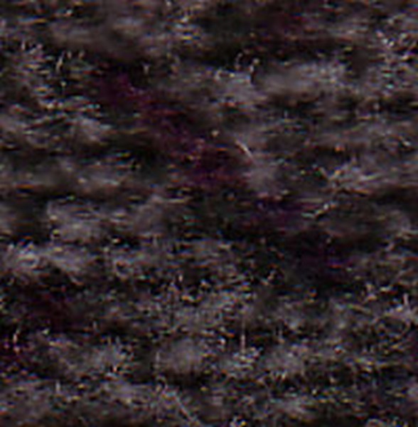Raven Silver Fern    D692 - OEM Cloth