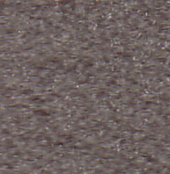 Classic LT Silver Fern   D5018 - OEM Cloth