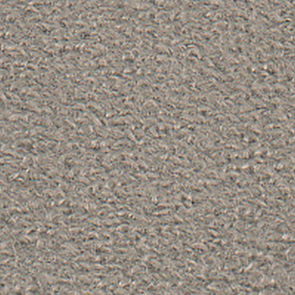 Mist Quiet Beige     Ca - All