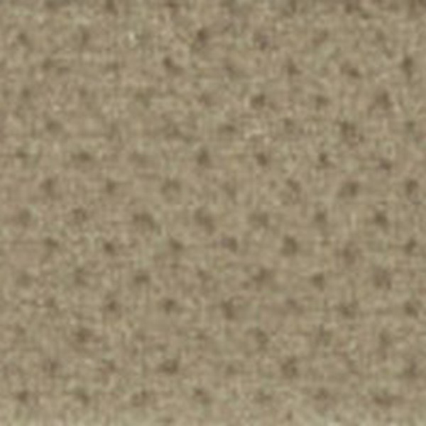 Points New Ivory   130642 - OEM Cloth