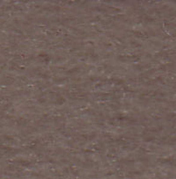 Tr96 Mild Beige  130324 - OEM Cloth