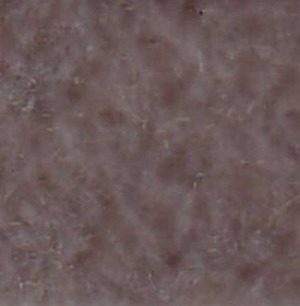 Tr237 Mild Beige   130329 - OEM Cloth