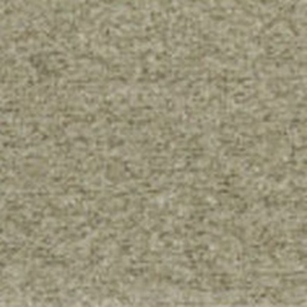 Ricco Rikyu Beige ( See Notes Below) - OEM Cloth