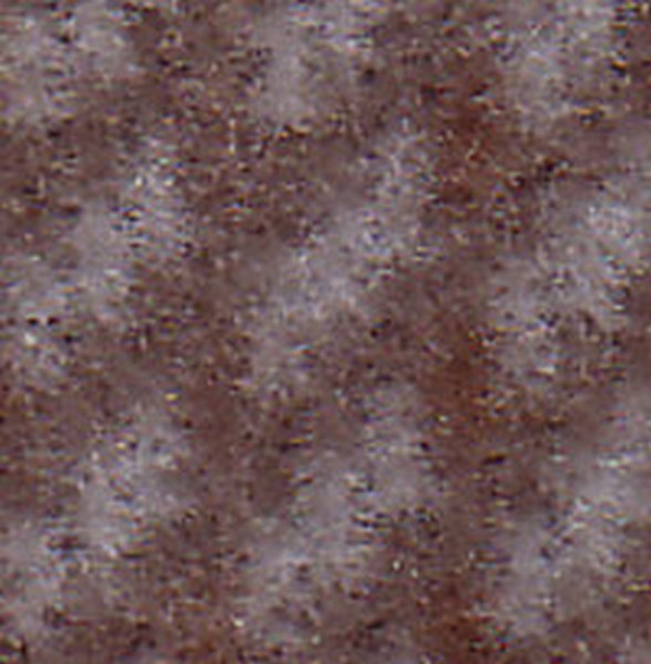 Evelyn Tan  Driver Side  110465 - OEM Cloth