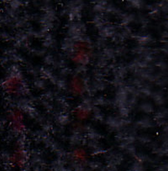 Cascade Spruce   D6011 - OEM Cloth