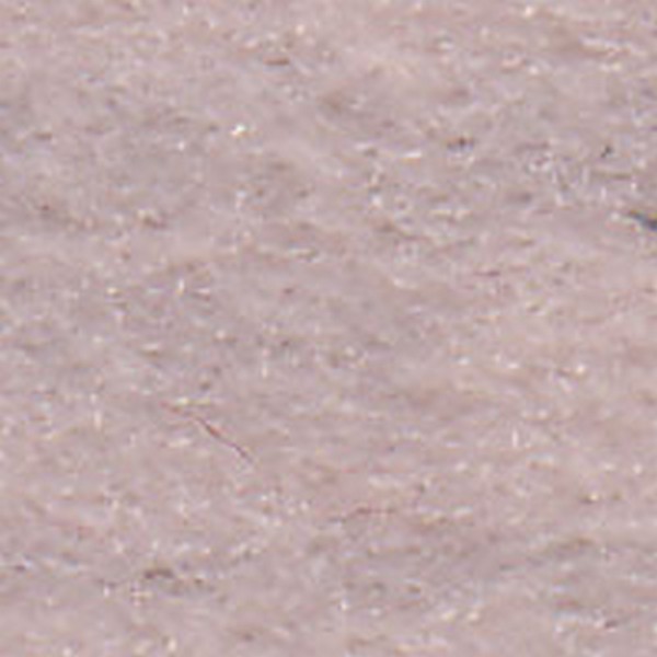 Quantum Ivory   D5810 - OEM Cloth