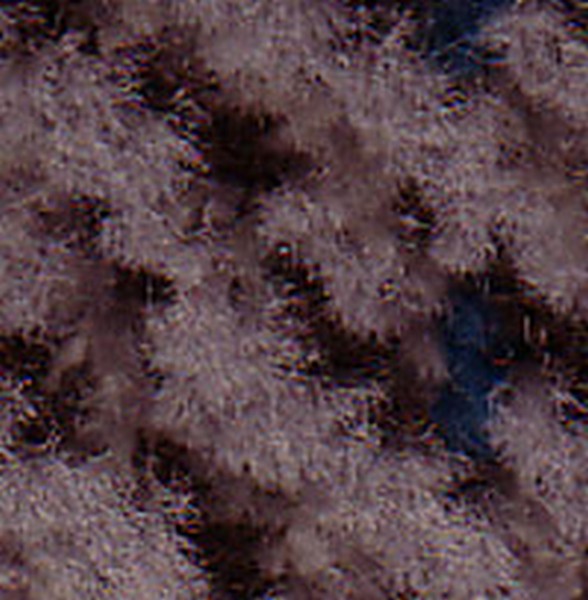 Skye Md Neutral - OEM Cloth