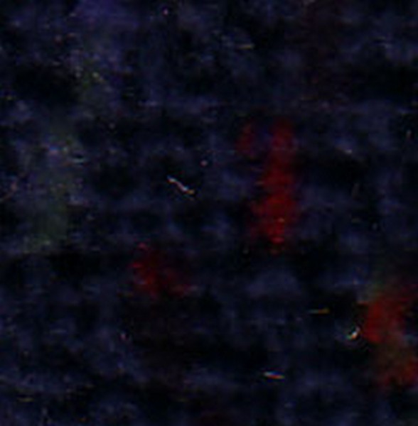 Rock Candy Navy  D615 (note) - OEM Cloth