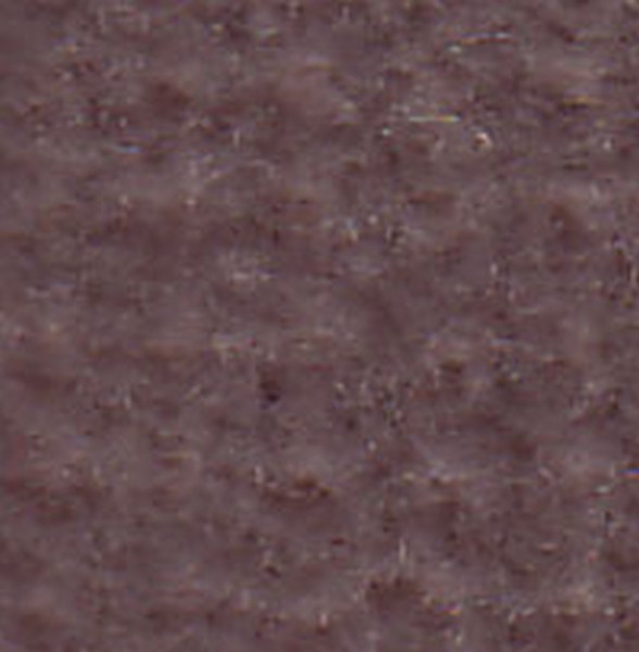 Montego Md Neutral   D634 - OEM Cloth