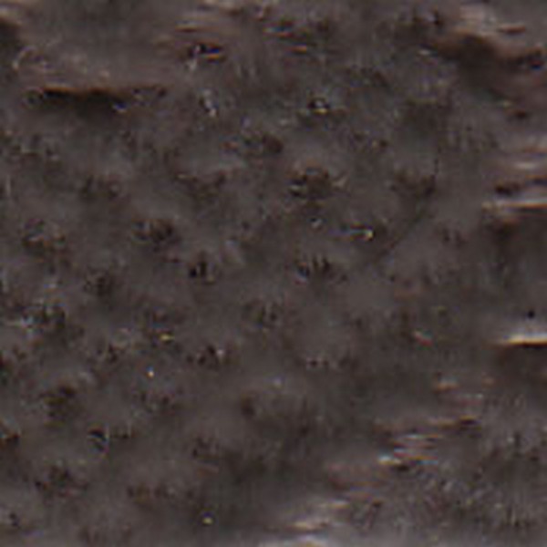 Duncan V Md Truffle   D7656 - OEM Cloth