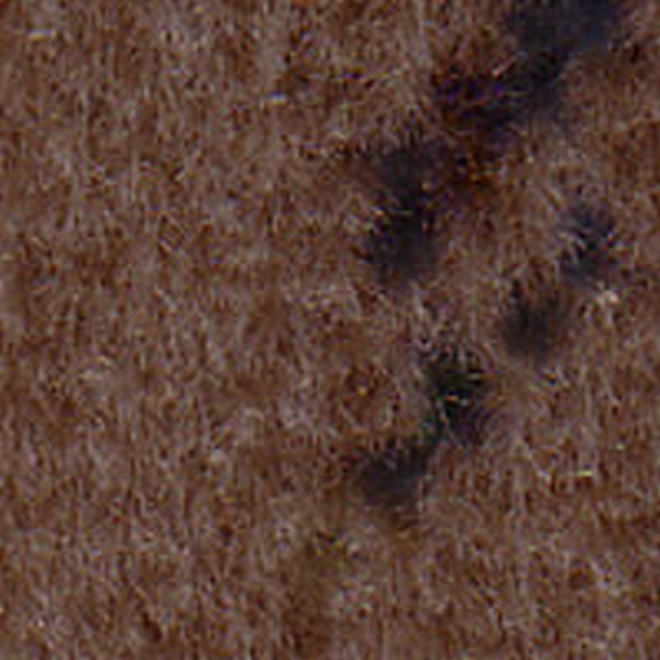Vista Md Camel    D8027 - OEM Cloth