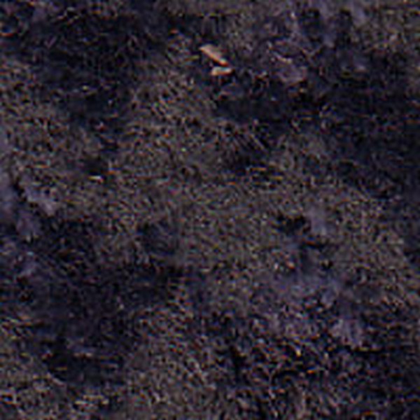 Chantilly Grey    170068 - OEM Cloth