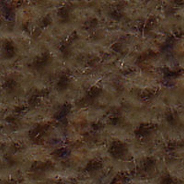 Pixel Md Prairie Tan   D875 - OEM Cloth