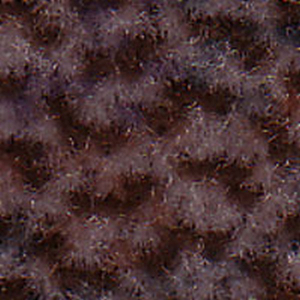 Nautilus Md Prairie Tan - OEM Cloth