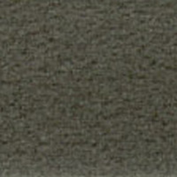 Pandora Wm Titanium - OEM Cloth