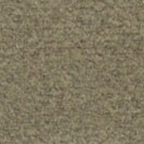 Ricco Durable Almond D120386 - OEM Cloth