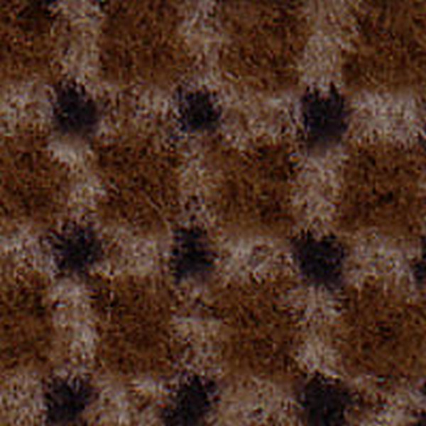 Dayton Md Camel - OEM Cloth